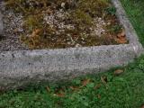 image of grave number 916653